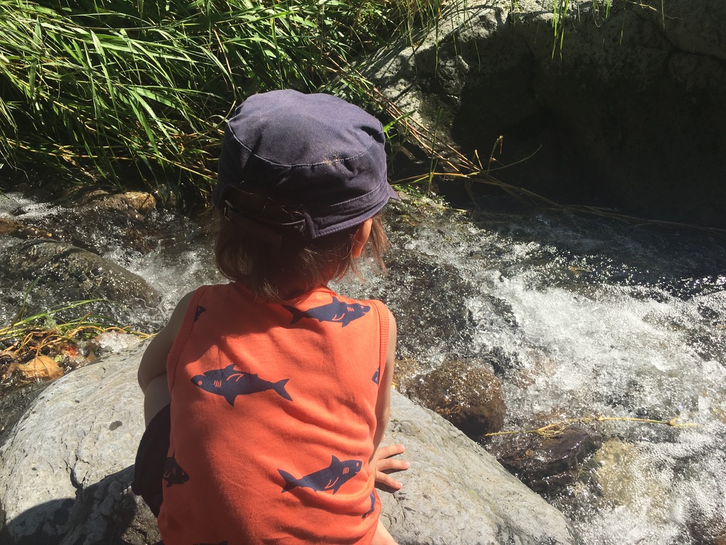 Les rochers dans l'eau